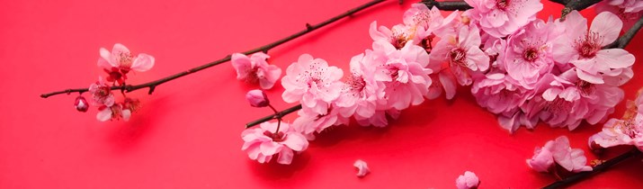 Interesting Chinese New Year Symbolism