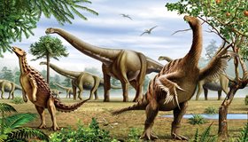 Dinosaur Facts