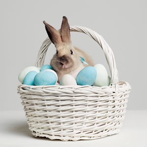 Fun Easter Facts