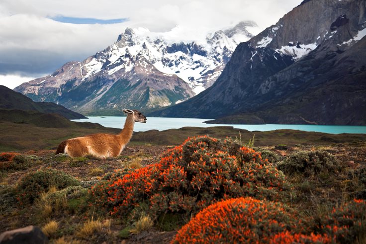 Interesting Chile Fact