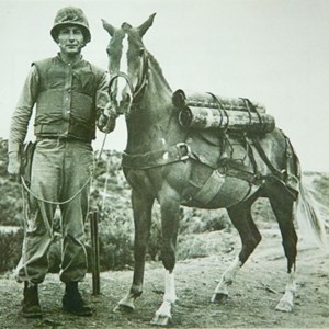 Amazing Korean War Fact