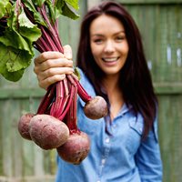 Fun Beet Facts