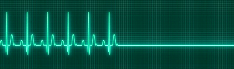 Interesting Facts about Death