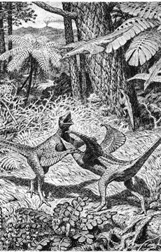 Interesting Dinosaur Evolution Fact