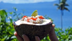 Fiji Facts