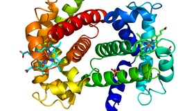 Protein Facts