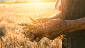 Farming Facts