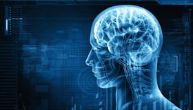 Human Body Facts