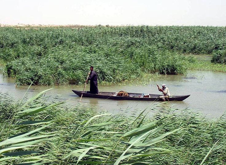 Interesting Marsh Iraq Fact