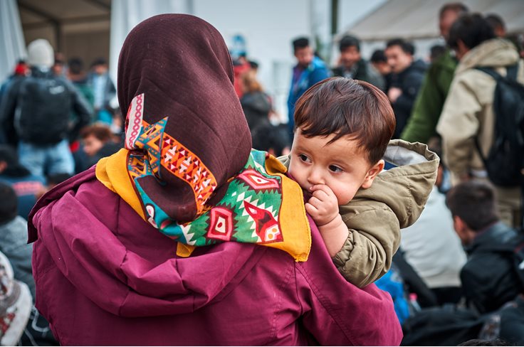 Syria Refugee Fact