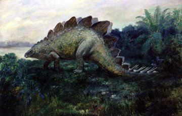 Interesting Stegosaurus Fact
