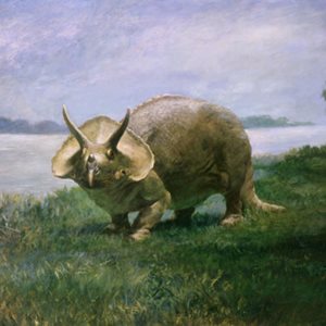 Interesting Triceratops Fact
