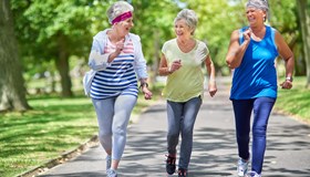Walking Facts