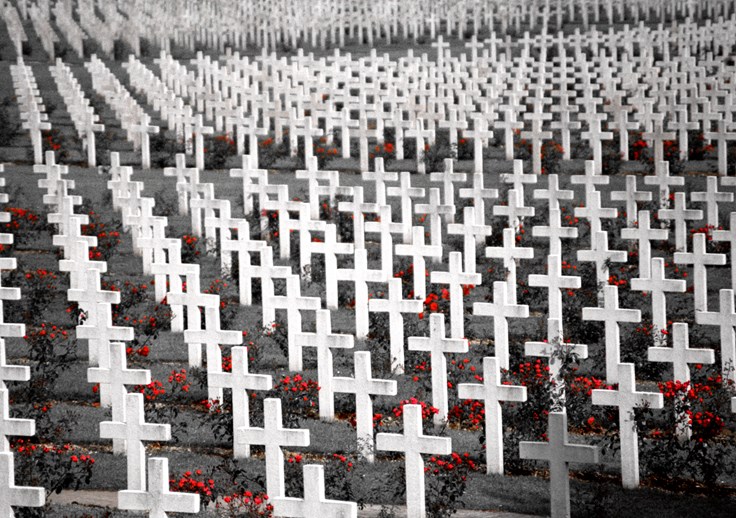 Interesting WW I Casualty Fact