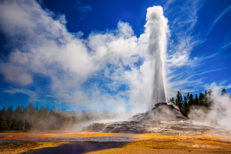 Interesting Yellowstone Fact