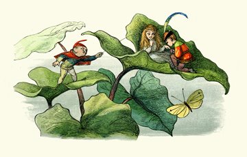 Ireland Fairy Facts