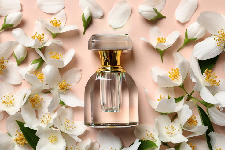 Fun Perfume History