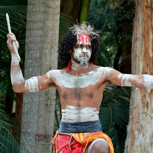Koala Aborigines Fact
