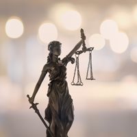 Crazy Lawyer Facts