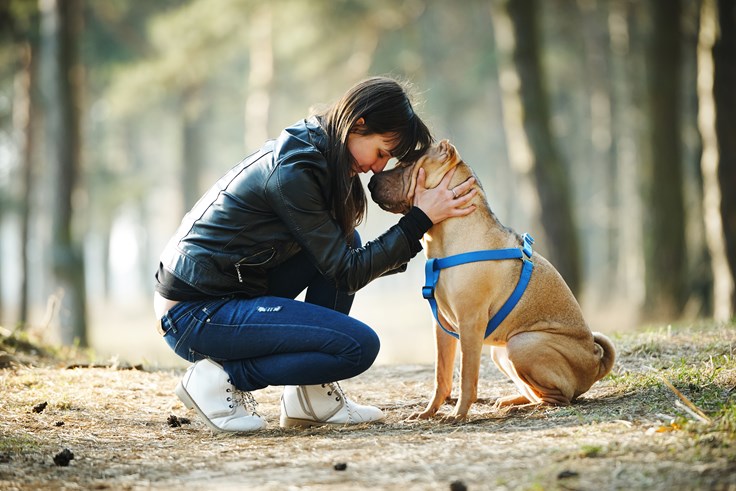 Cute Dog Facts