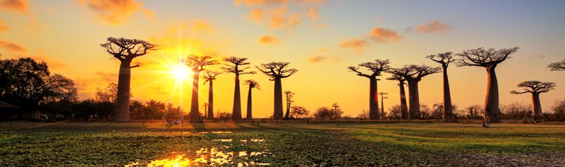 Madagascar Facts