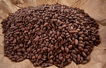Mexico Chocolate Fact