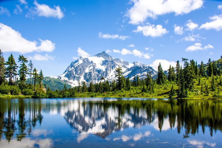 Washington State Facts