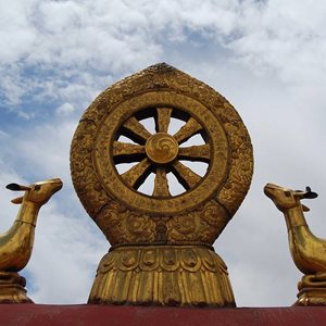 Fun Buddha Fact