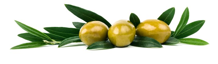 Olive Oil Medical Benefits