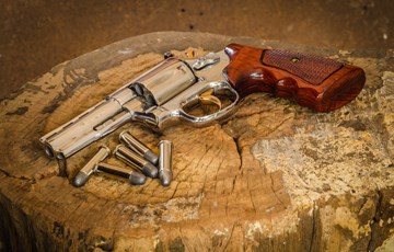 Picasso Pistol Facts