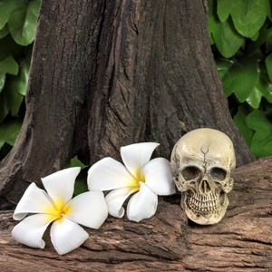 Poisonous Garden