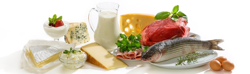 Protein Facts