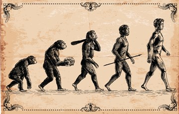 Evolution Race
