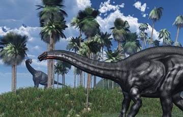 Random Dinosaur Facts