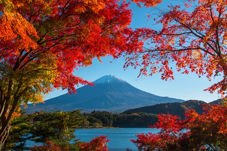 Interesting Mount Fuji Fact