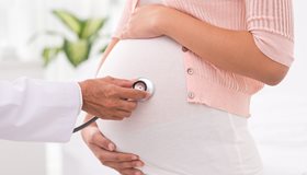 Pregnancy Facts