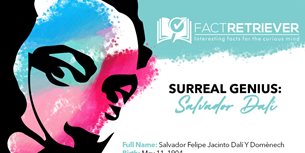 Salvador Dali Infographic