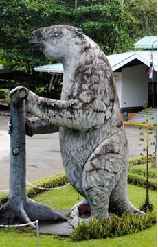 Giant Sloth Extinct