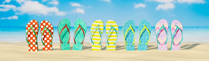 Flip Flop Facts