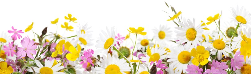 Spring Facts