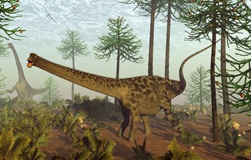 Weird Dinosaur Fact
