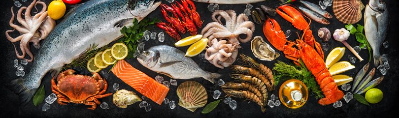 Interesting Tilapia Facts