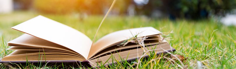 Top 10 Books