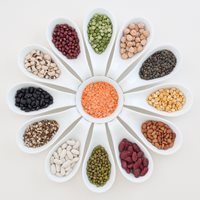 Vegan Grains