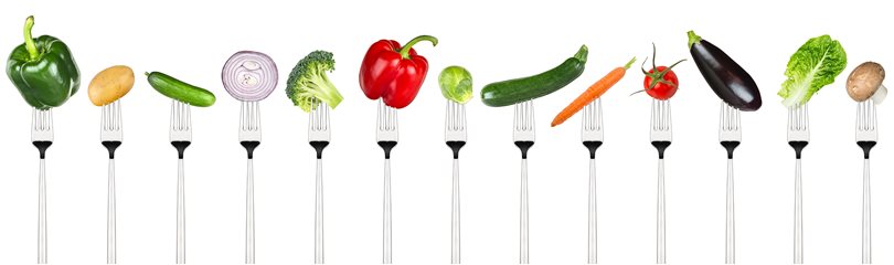 Vegan Facts