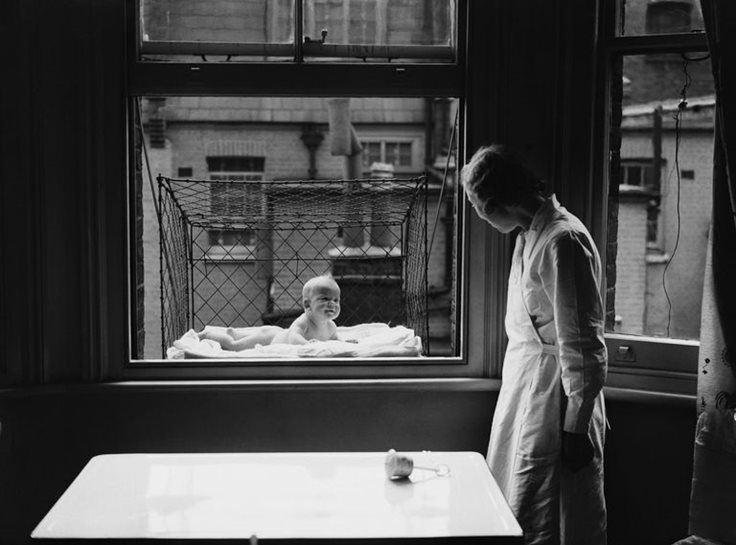 Baby Cages Fact