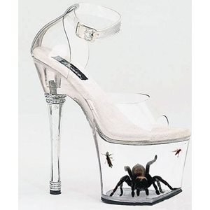 Tarantula Shoe Fact