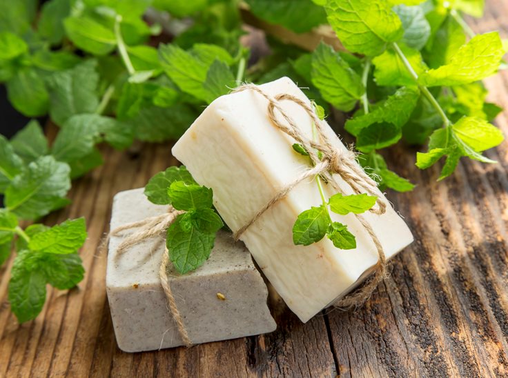 Organic Soap History