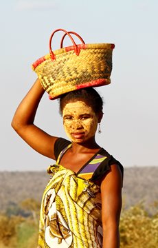 Madagascar People Fact