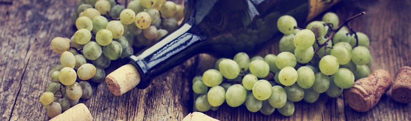 Wine Facts